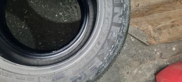 corolla runx: Шиналар 195 / 65 / R 15, Жай, Колдонулган, Жуп, Жеңил унаалар, Корея, Nexen