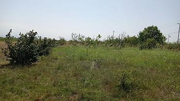 bilgeh ev satilir: 14 sot, Tikinti, Mülkiyyətçi, Kupça (Çıxarış) — 4