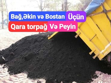 kalla bitkisi haqqinda melumat: Qara Torpaq Və Peyin 🌱 Torpaq Satışı: Kənd təsərrüfatı, bağçılıq və ya