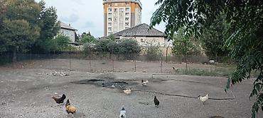Torpaq sahələrinin satışı: 3 sot, Tikinti, Barter mümkündür, Kupça (Çıxarış) -da lalafo.az — 5 Torpaq sahələrinin satışı: 3 sot, Tikinti, Barter mümkündür, Kupça (Çıxarış) — 5