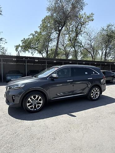 санато 2019: Kia Sorento: 2019 г., 2 л, Автомат, Дизель, Кроссовер — 5