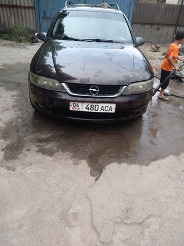 бампер на опель вектра б: Opel Vectra: 2000 г., 1.6 л, Механика, Бензин, Универсал