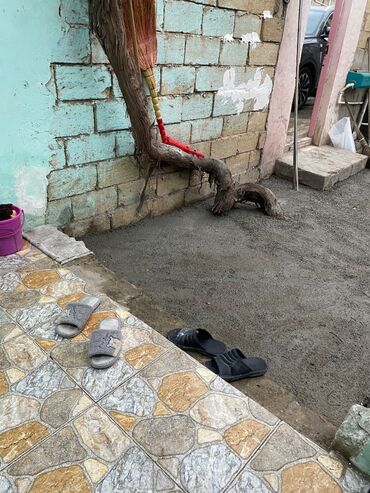 Bağ evlərinin kirayəsi: Malkerle işlemirem, heç bir şekil atmiram votsapa. Evin sahibiyem ve — 16