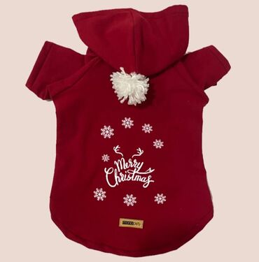 Pişiklər: Erkək, Dişi -da lalafo.az — 21 Pişiklər: Erkək, Dişi — 21