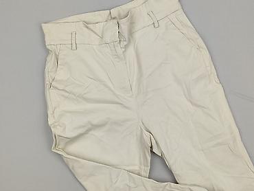 maxx stan: Massimo Dutti, Брюки жіночі, розмір S — 1