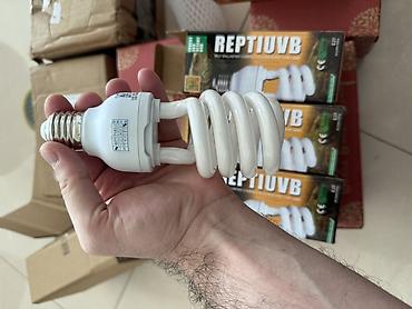 uvb: 💡Peşəkar Reptile UVB Lampa – Sağlamlıq və Güclü İnkişaf üçün! 🦎🌞 26W — 9