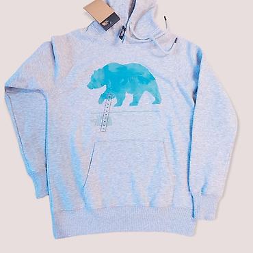 tech fleese: Толстовка-худи The North Face - Модель: NSE Pullover Hoodie (арт — 1