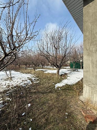 Продажа коттеджей и домов: ‼️‼️СРОЧНО ПРОДАЮ участок в селе «Байтик» (по первой линии) 7 соток at lalafo.kg — 3 Продажа коттеджей и домов: ‼️‼️СРОЧНО ПРОДАЮ участок в селе «Байтик» (по первой линии) 7 соток — 3