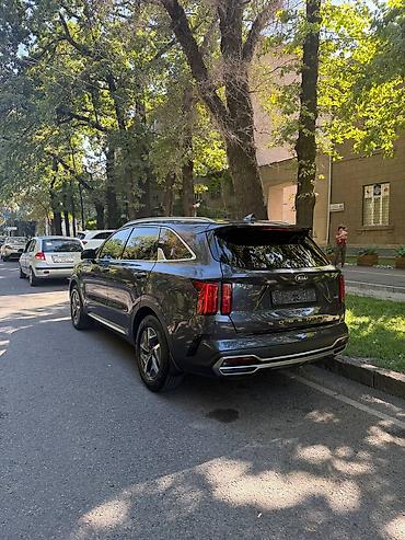 Kia: Kia Sorento: 2021 г., 1.6 л, Автомат, Гибрид, Кроссовер — 3
