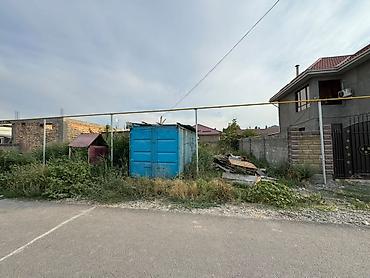ысык куле: 4 соток, Курулуш, Сатып алуу-сатуу келишими, Кызыл китеп — 1