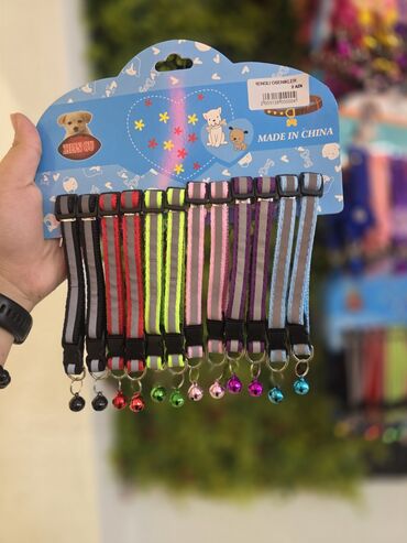 Xaltalar, qayışlar və tasmalar: Pişik və mini itlər üçün boyunbağılar. Taksilə çatdırılma xidmətimiz — 3