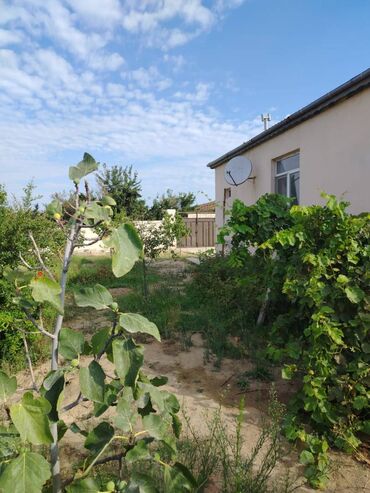 Bağ evlərinin satışı: Bakı, Novxanı, 120 kv. m, 3 otaqlı, Hovuzsuz, Qaz, İşıq, Su — 9