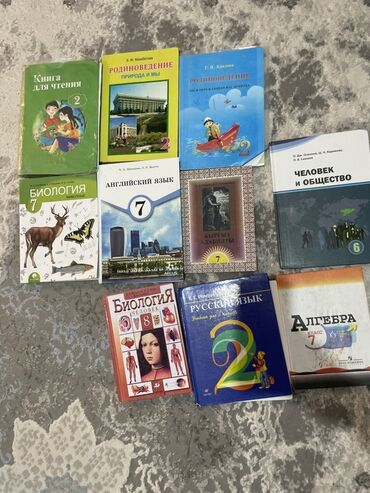 книги школьников: Набор школьных учебников и пособий (разные классы и предметы). В