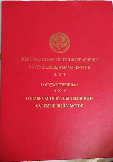 активизация офис: 6 соток — 1