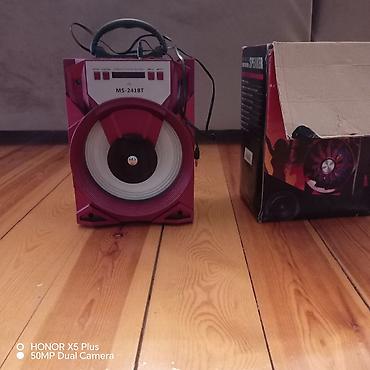 Audio: MS-241BT portativ səs gücləndiricisi - Model: MS-241BT (LED) - Növ — 2