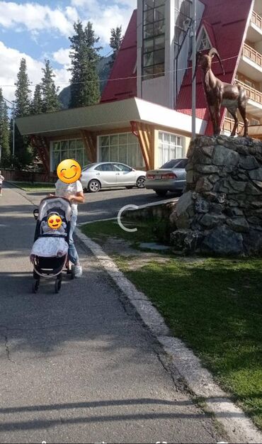 дордой коляска: Коляска