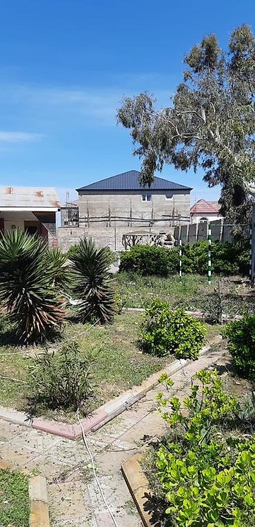 müşfiqabad ev satışı: Digah, 1100 kv. m, 4 otaqlı, Hovuzlu, Qaz, Telefon, İnternet — 7