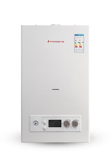 газ италия: НАСТЕННЫЕ ГАЗОВЫЕ КОТЛЫ 
FAVORITE 
OASIS — 3