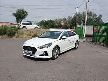 sonata uf: Hyundai Sonata: 2020 г., 2 л, Автомат, Газ, Седан — 1