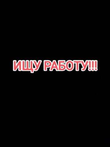 работа водителя: Доброго времени суток! Ищу работу на любую должность желательно с