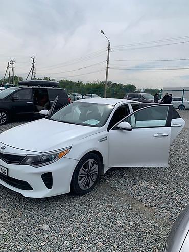 Kia: Kia Optima: 2017 г., Гибрид, Седан — 3