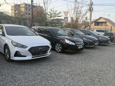 хюндай соната: Hyundai Sonata: 2019 г., 0.2 - engine capacity л, Автомат, Газ, Седан