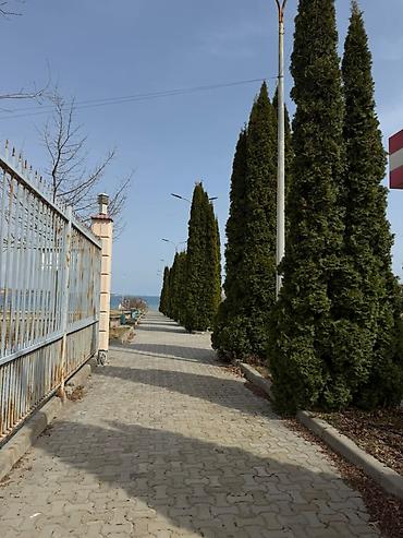 Продажа коттеджей и домов: Продаётся просторный двухэтажный (+обустроенный цокольный этаж) — 12