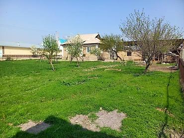 Продажа коттеджей и домов: Продаётся дом в Ноокене. Участок 6 соток, удобное расположение. - Дом — 6