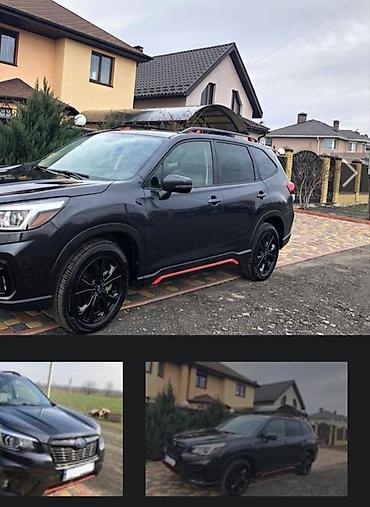 subaru forester sg: Subaru Forester: 2019 г., 2.5 л, Бензин, Кроссовер — 1