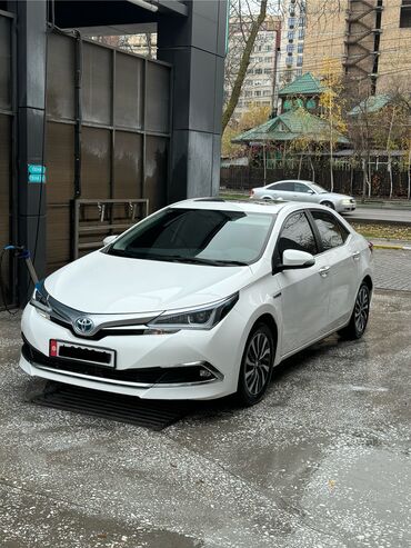 королла 2012: Toyota Corolla: 2019 г., 1.8 л, Вариатор, Гибрид, Седан