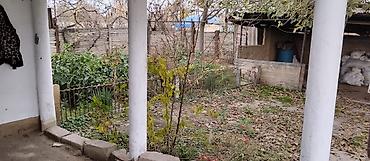 evlər studiya: 36 sot, Kənd təsərrüfatı, Mülkiyyətçi, Kupça (Çıxarış) — 3