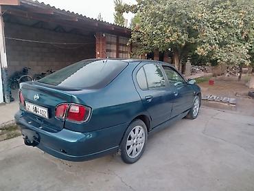 тунуке бу: Nissan Primera: 2001 г., 2 л, Кол менен иштөөчү, Бензин, Седан — 4