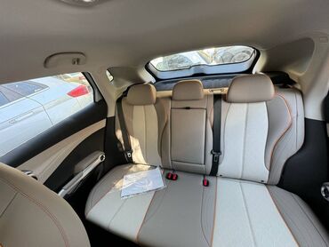 BYD: BYD : 2024 г., Электромобиль — 4