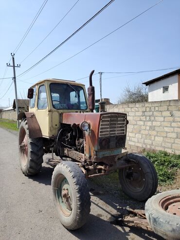 traktör satışları: Traktor Belerus lumizi satilir, lapdle bir yerde, butun sənətləri