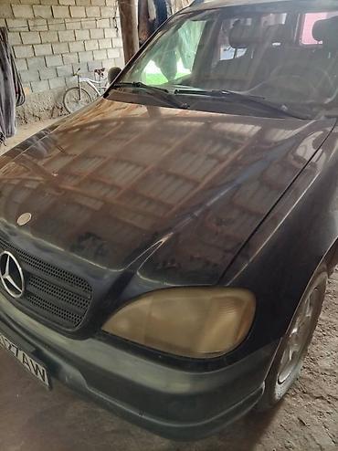 w163: Mercedes-Benz ML-Class: 1999 г., 3.2 л, Автомат, Бензин, Кроссовер — 5