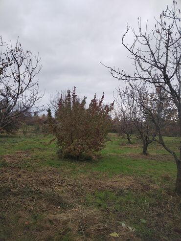 Kirayə torpaq sahələri: Kənd təsərrüfatı, Su — 3