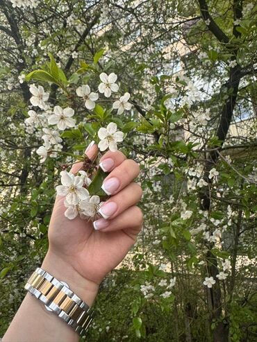 Manikür, pedikür: Manikür, Gellak, şellak, Evə gəlməklə — 9