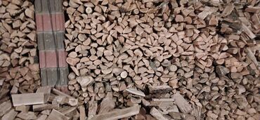 дрова мешках: Дрова Карагач, Платная доставка