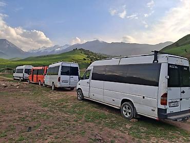 rex sprinter: Пункт назначения: Все направления, Лицензия №: 00В005392 — 2