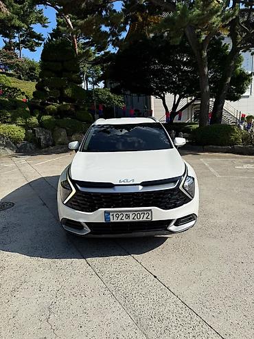 sprinter rex: Kia Sportage: 2022 г., Автомат, Кроссовер — 2