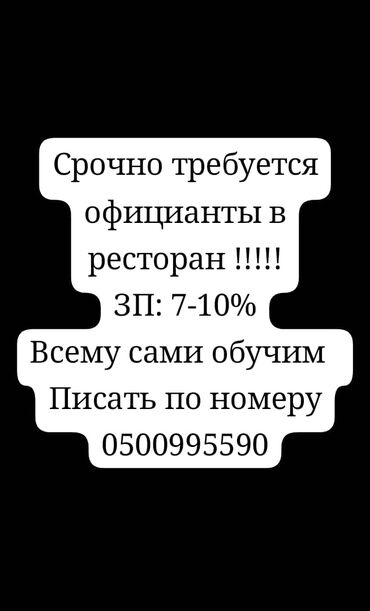 работа официантом без опыта бишкек: Требуется Официант Без опыта, Оплата Ежедневно
