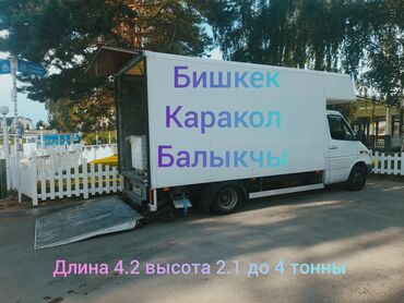 Портер, грузовые перевозки: Легкий грузовик, Mercedes-Benz, Стандарт, 3 т