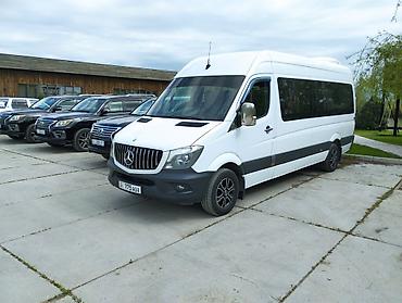 w210 e320: Бус на заказ Пассажирский микроавтобус Mercedes‑Benz Sprinter (длинная — 3