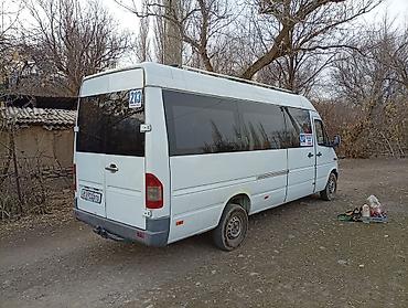 man l2000: Автобус, Mercedes-Benz, 2002 г., 2.7 л, 16-21 мест — 6