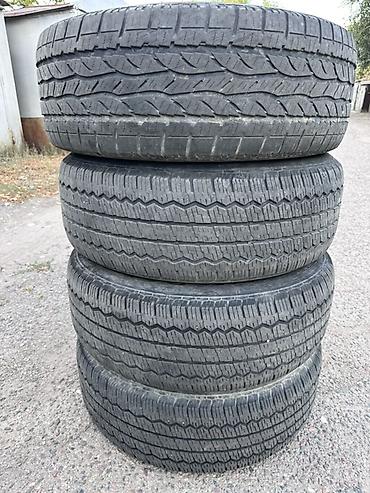 265.60.18