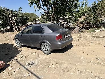 шевролет: Chevrolet Aveo: 2005 г., Седан — 2
