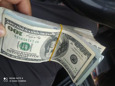 молочное производство: Нужна инвестиция в сфере пчеловодство готовый бизнес для развитии и