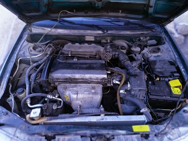 Kia: Kia Sephia sedan - Kuzov: 4 qapılı sedan, tünd yaşıl rəng - Ön hissə — 10