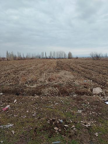 Продажа участков: 200 соток — 8