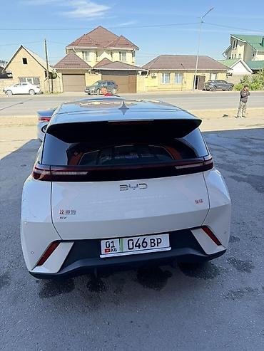BYD: BYD Seagull: 2025 г., 0.1 л, Робот, Электромобиль, Хэтчбэк — 3